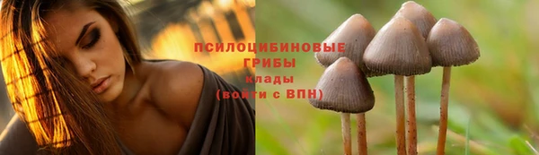 тгк Белокуриха