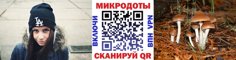Псилоцибиновые грибы GOLDEN TEACHER  купить наркотик  Дигора 
